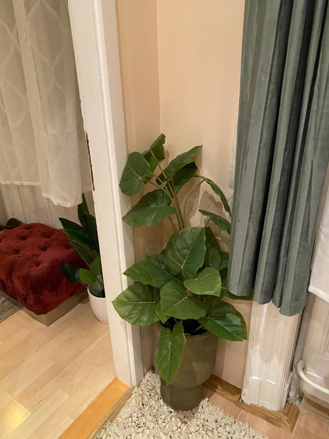 Jungle Story Apartment By Millenaris Park With Free Parking Budapest Esterno foto